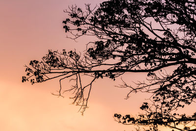 Low angle view of silhouette tree against sky during sunset