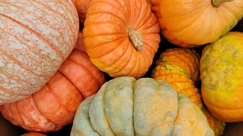 Full frame shot of pumpkins at market stall