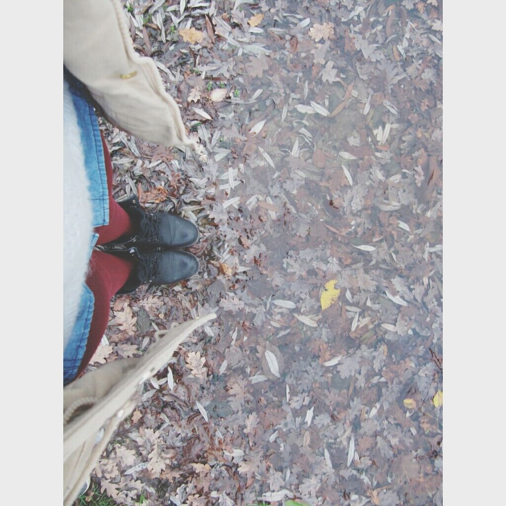 low section, person, shoe, high angle view, footwear, standing, lifestyles, human foot, leisure activity, part of, dry, jeans, men, auto post production filter, personal perspective, autumn, directly above