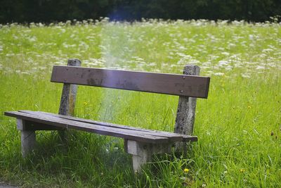 Park bench in park