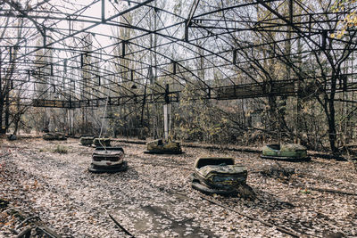 View of abandoned car on bare trees