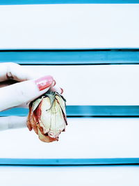 Close-up of cables against the wall