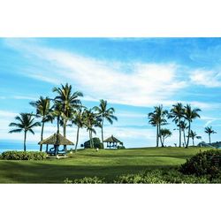 Palm trees against cloudy sky