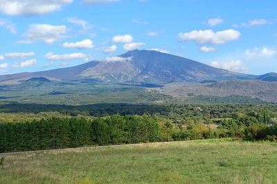 Scenic view of field against sky