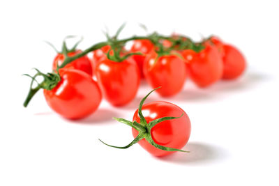 Close-up of tomatoes against white background