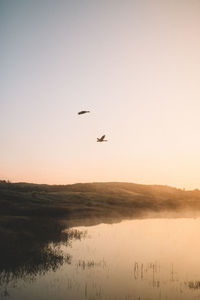 Birds flying over lake against sky