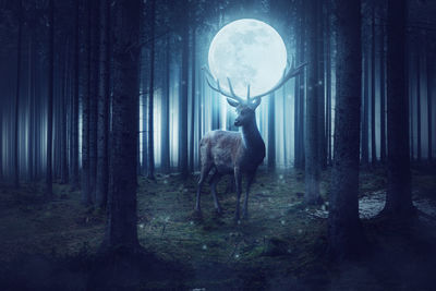 Digital composite image of deer in forest