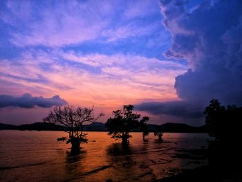 Silhouette trees by lake against sky during sunset