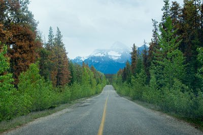 Road amidst trees and plants against sky