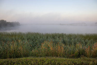 Scenic view of grassy field against sky