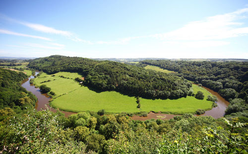 Scenic view of trees on field against sky