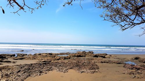 Scenic view of beach against clear blue sky