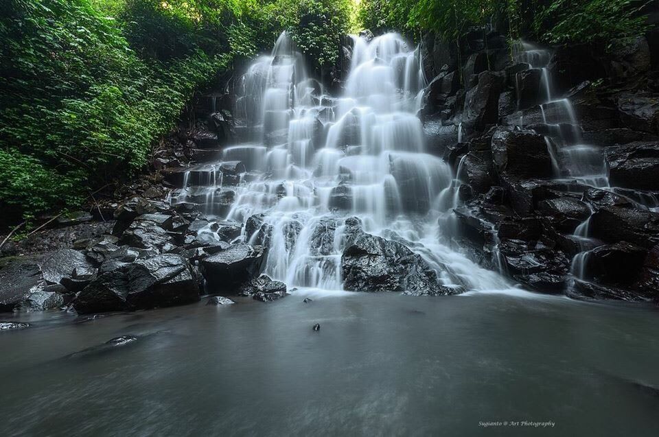 WATERFALL IN FOREST