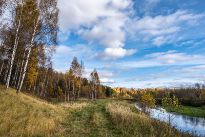 Trees on field against sky