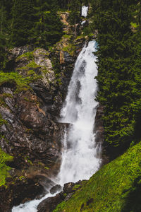 Scenic view of waterfall in forest