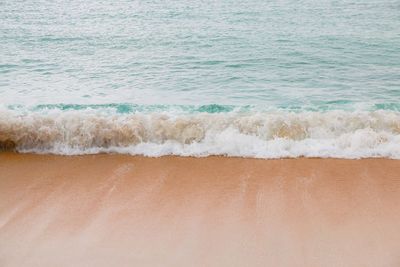 Scenic view of beach