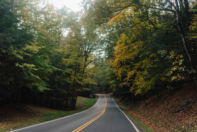 Empty road amidst trees during autumn