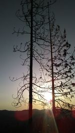 Silhouette bare tree against sky during sunset