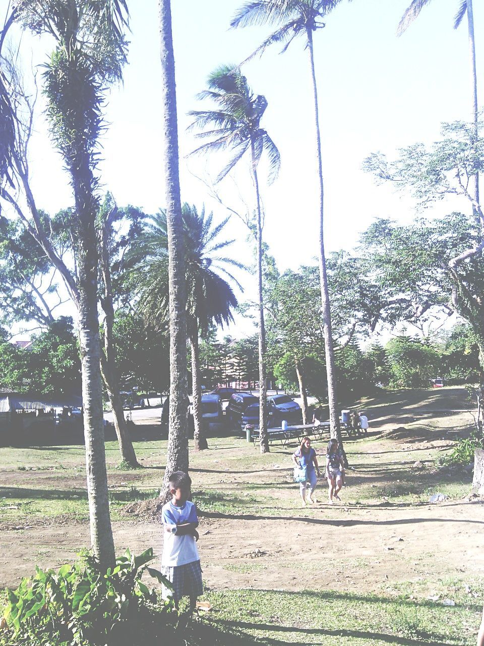 Picnic Grove, Tagaytay City