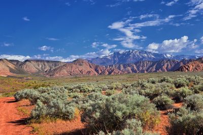 Scenic view of land against sky