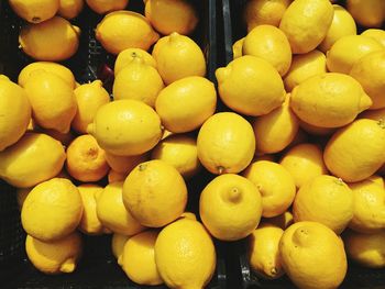High angle view of fruits for sale at market stall