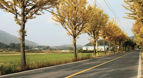 Road by trees against sky