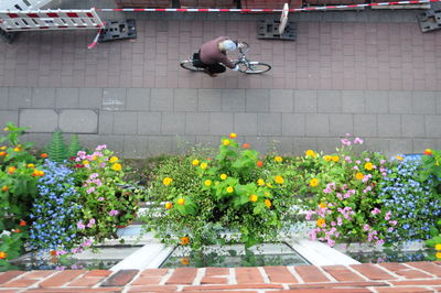 Man and flowers