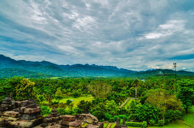 Scenic view of landscape against sky