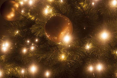 Low angle view of illuminated christmas tree at night