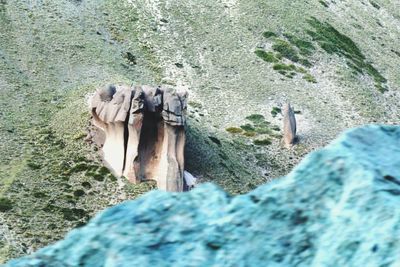 Rocks on shore