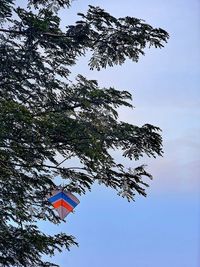 Low angle view of trees against clear blue sky