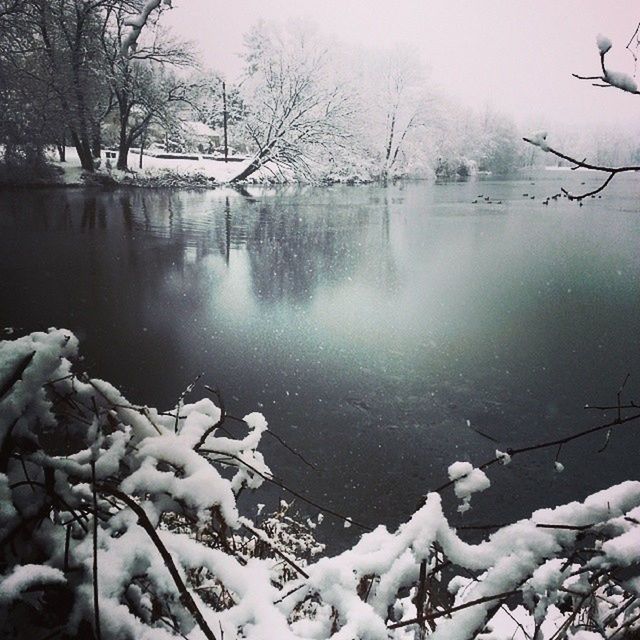 water, lake, reflection, bare tree, tree, winter, tranquility, cold temperature, nature, season, snow, tranquil scene, beauty in nature, branch, frozen, weather, scenics, lakeshore, day, outdoors