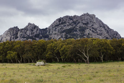 Scenic view of grassy field against cloudy sky