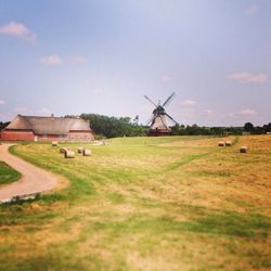 Barn and traditional windmill on farm