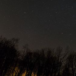 Low angle view of starry sky