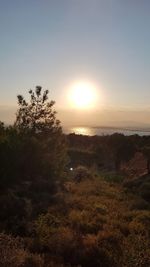 Scenic view of field against sky during sunset