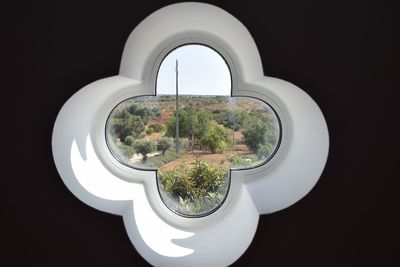 Trees against sky seen through window