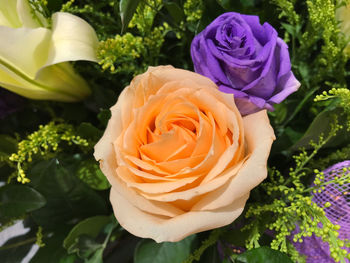 Close-up of rose bouquet