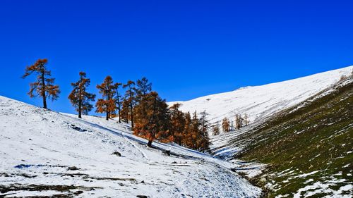 Scenic view of snowcapped mountains against clear blue sky