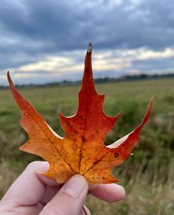 Close-up of hand holding maple leaf against sky