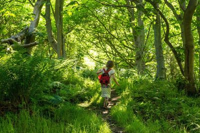 Woman walking in forest