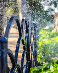 Close-up of raindrops on plant