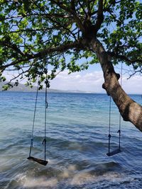 Swing hanging on tree by sea against sky