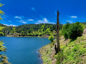 Scenic view of river against sky