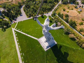 High angle view of man jumping by plants