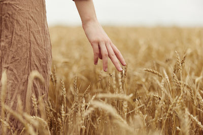 Cropped hand of woman standing on field