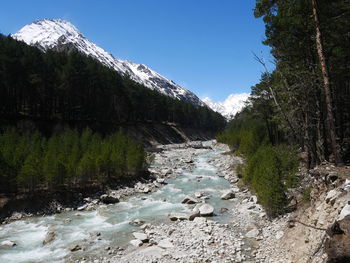 Scenic view of stream amidst trees against clear sky