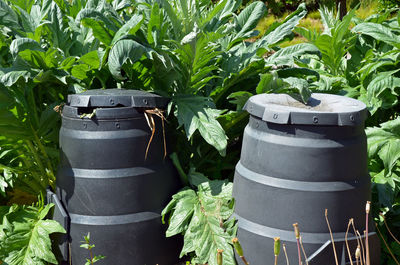 Close-up of potted plant by metal container in yard