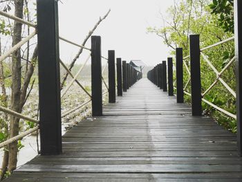 Empty footbridge by trees