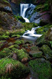 Scenic view of waterfall in forest